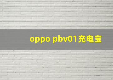 oppo pbv01充电宝